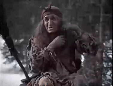 The Wild Forests of Berlin