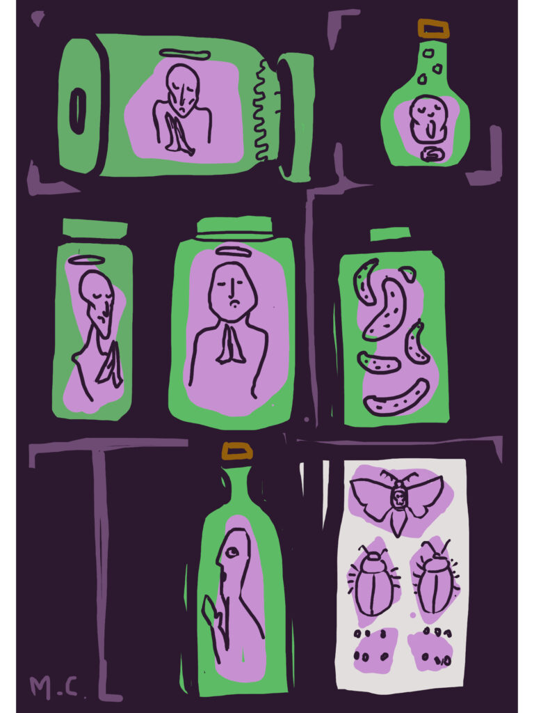 Holy Pickles – New Graphic Illustration